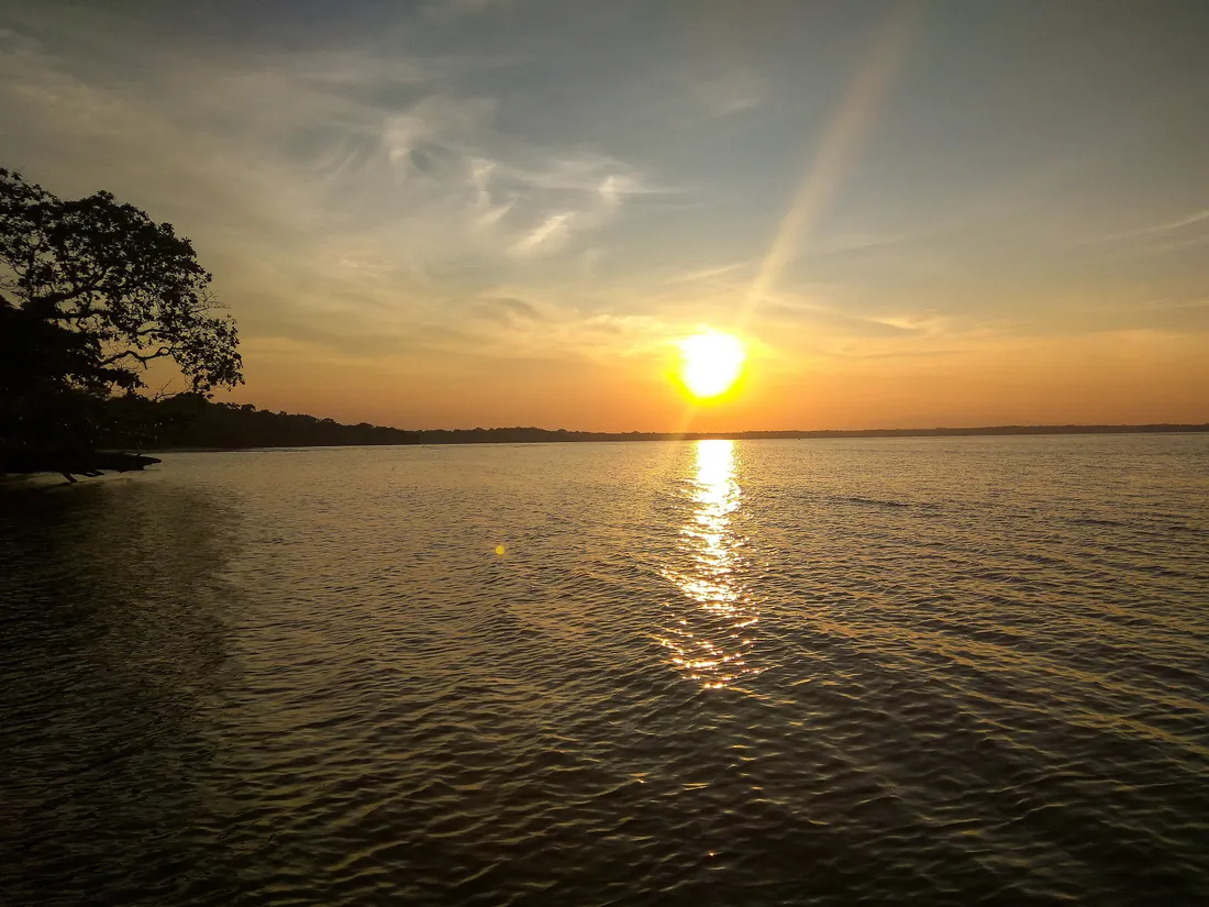 Coucher de soleil doré sur la mer, vu depuis une côte bordée d'arbres.